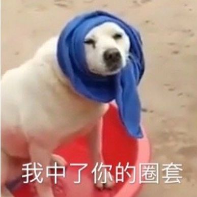 炒股不是坏事儿,配资属于找死