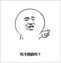 易车网山东百合