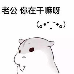 喊老公什么梗表情包小仓鼠版
