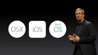 吊炸天最新的ios11居然这么强大,水果族记得要更新啊