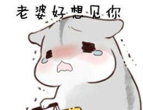 搞笑笑话段子公司最近来一女神,一屌丝同事去搭讪