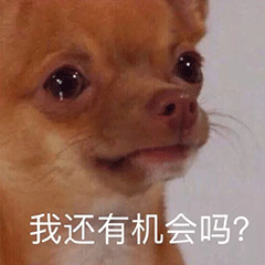 搞笑动态图gif表情包我养你啊