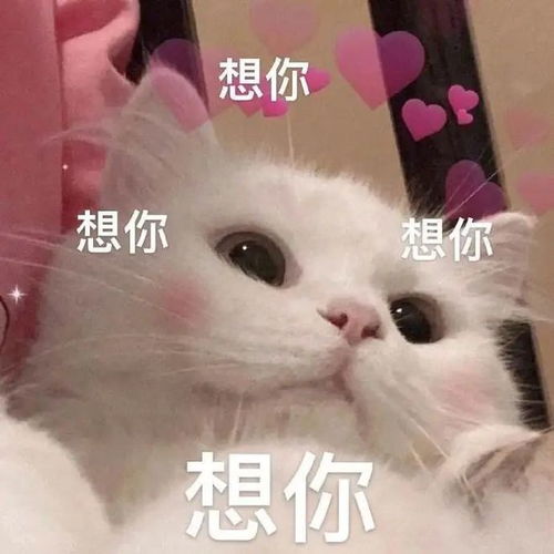 老师,我好想你萌娃归园,一头扑进班主任怀里