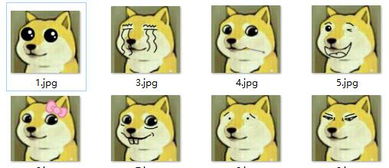 神烦狗doge聊天表情包下载精神污染表情包无水印版软件下载