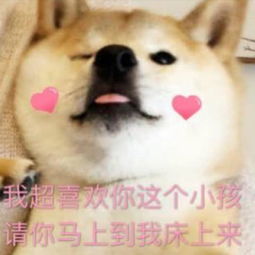 沙雕图集结号,我有沙雕图你有内存,我们就是好朋友