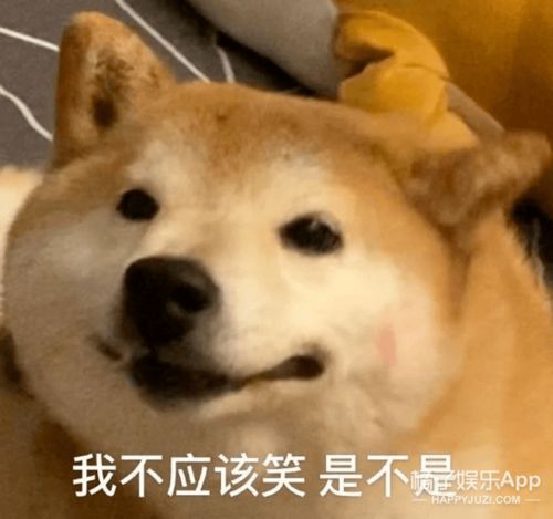 现实版何以琛翻车心动的offer薛俊杰被曝劈腿,真全员海王