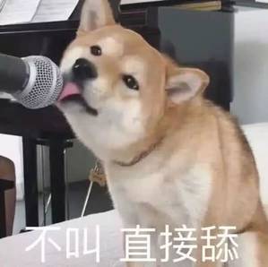 父母不要活的像舔狗