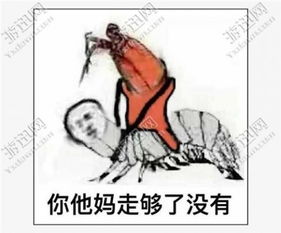 皮皮虾什么梗表情包下载皮皮虾什么梗表情包app下载皮皮虾什么梗表情包手机版下载
