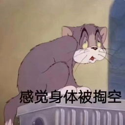 猫和老鼠表情包合集怎么肥事小老弟