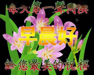 清晨正能量唯美好看的早上好温馨问候动态表情图片暖心的早上好阳光祝福图片