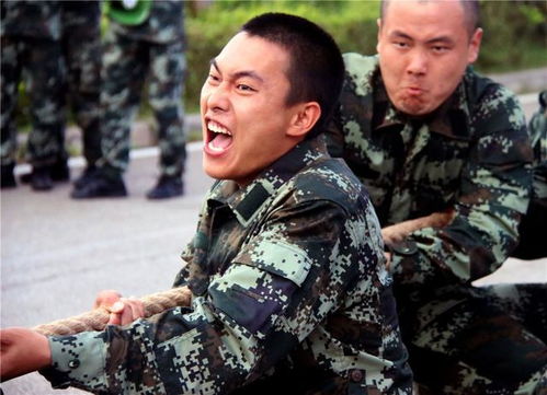 这样的表情包,真的很新兵