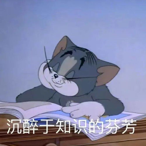 表情包猫和老鼠表情包