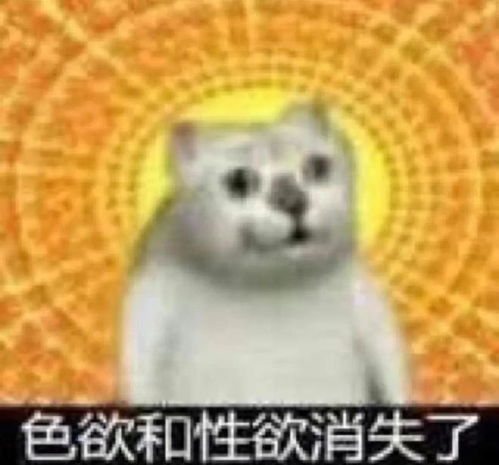 做x,到底多久一次最爽一夜7次真的存在吗
