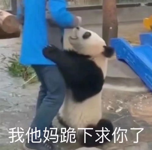 今年浙江首考出分为什么这么晚