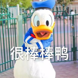 喝彩图片表情包图鸭子