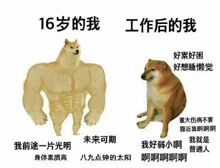 无数人在这只阿柴身上,看到了最弟弟的自己