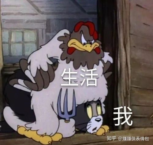 求解答的表情包图片我自闭了