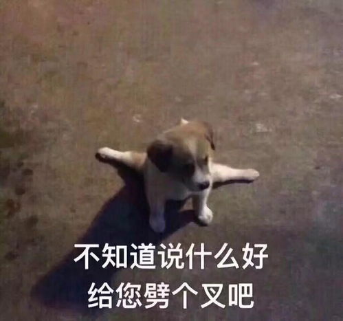 赵丽颖离婚的背后留给冯绍峰最后的体面