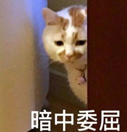 与其在家苦等通知,不如到现场与hr面谈连续三天招聘会等你来