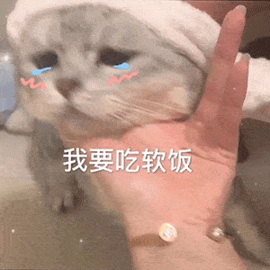 热门沙雕表情包
