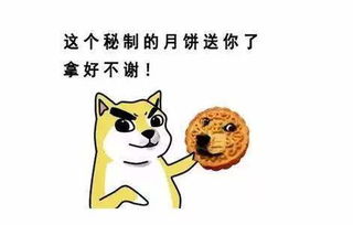 抖音如何快速增加粉丝数量,这些方法你知道吗