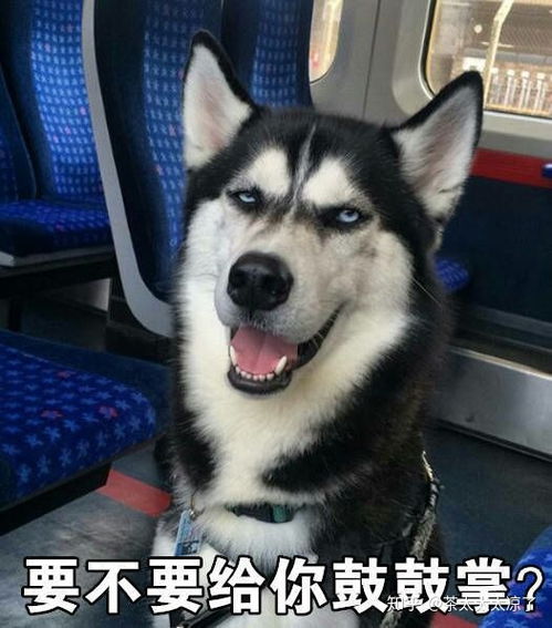 女生偷看女生是一种什么样的心态