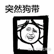 有个姐姐是什么体验