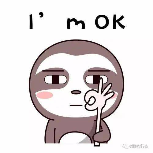 表达自己很迷茫表情包