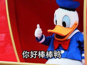 唐老鸭表情包你好棒棒鸭今天也要加油鸭