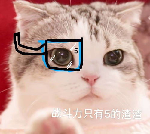 猫咪表情包香香软软的小泡芙专场今天是甜甜的小猫咪鸭