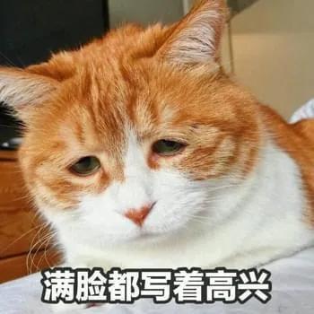 不过是一只小猫咪,怎么能做出那么丰富的表情