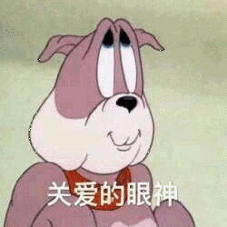 动态图gif表情包猫和老鼠