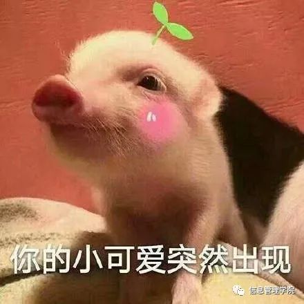 2018迎新晚会圆满结束