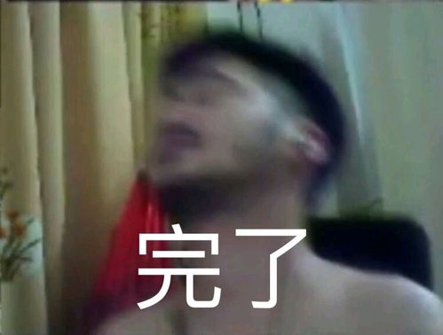 茄子表情包闸总专用