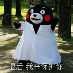 表情与斗图114熊本县地震熊本熊停止更推熊本熊表情包