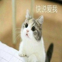 给钱要吃肉肉表情包微信头像图片大全