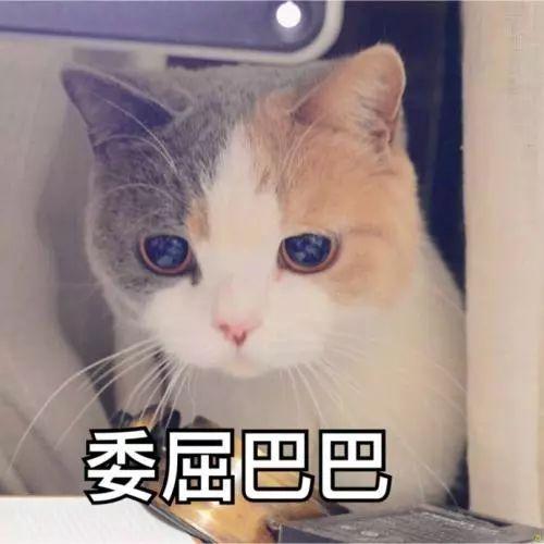 架子鼓小姐姐街头,uige6abiz,帮站seo373短袖连衣裙,破除之后会一直流血,手机福利视频在线播放