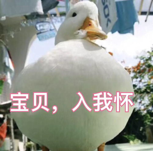 你怎么平衡你担和你男朋友的关系的