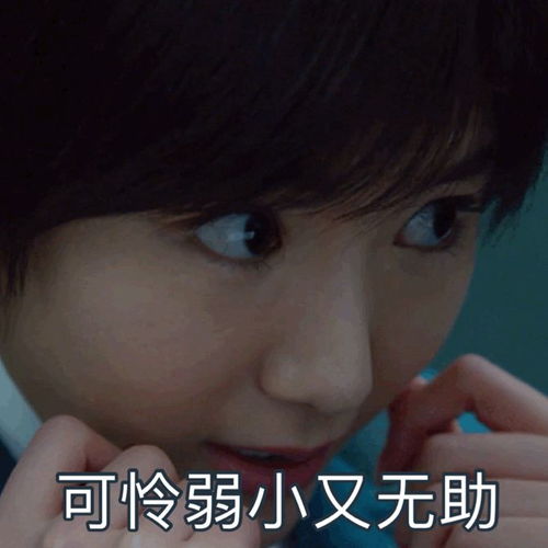 求一波毛晓彤小姐姐的表情包她好可爱啊大家有吗
