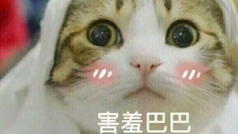 休伯利安进行曲伪