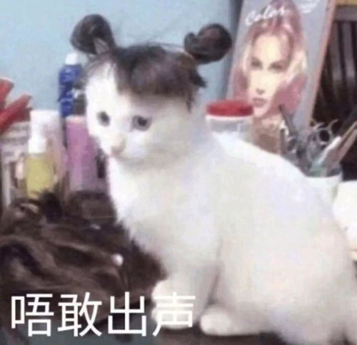 如何看待防弹少年团大站wnsweneedbts此次推特翻译事件