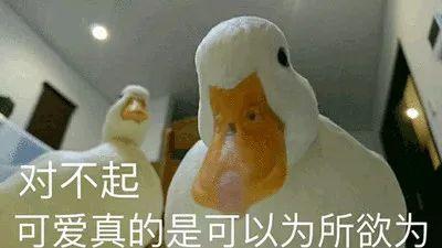预防校园霸凌的意见和建议16岁的孩子有点厌学怎么办