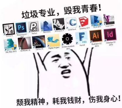 当年选专业时脑子进的水,如今都变成了表情包