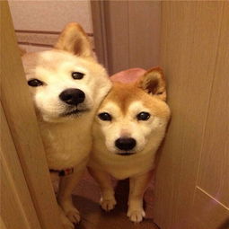 随笔