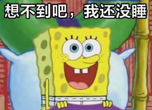 表情海绵宝宝也发现了什么表情包大全高清无水印版表情