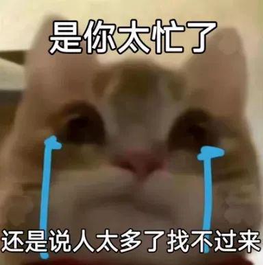 最新歪嘴猫自怕表情