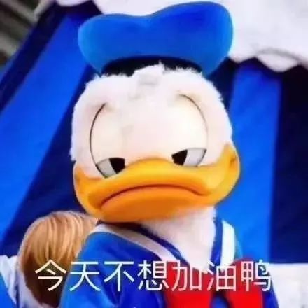 2018年度表情包大赏看完够我笑一年的......哈哈哈哈哈哈