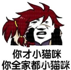王者荣耀最刮痧英雄是谁
