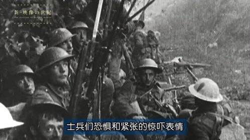表情疯狂历史表情