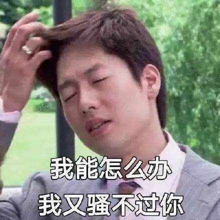表情包你好骚哦